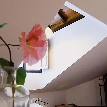 Trisileja En Vendégház