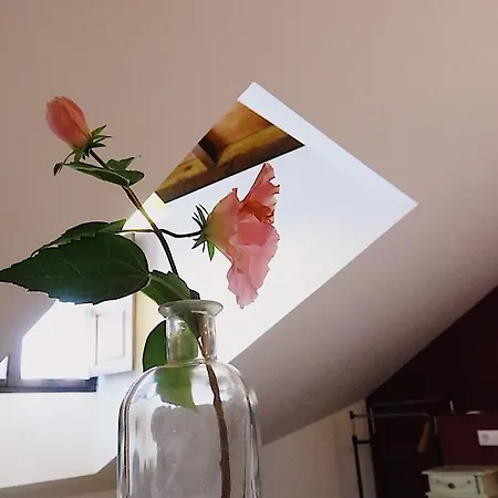 Trisileja En Vendégház 3*