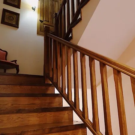 Trisileja En La Busta