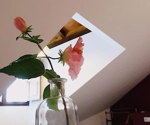 Trisileja En Penzion 3*